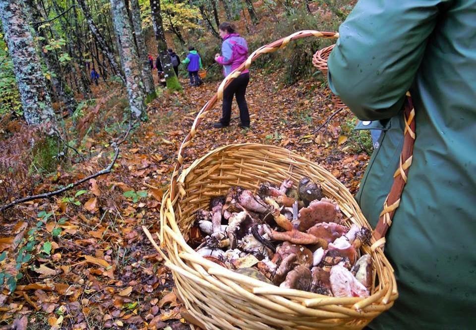 Апартаменты A Casoa II Санта-Эулалия-де-Оскос Экстерьер фото
